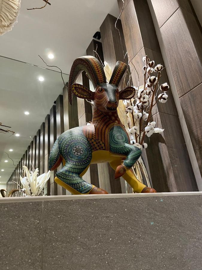 Zen Suites By Regente Oaxaca ภายนอก รูปภาพ
