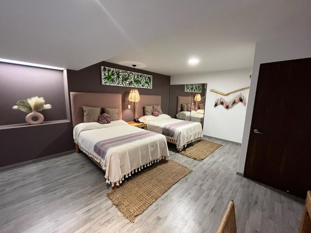 Zen Suites By Regente Oaxaca ภายนอก รูปภาพ